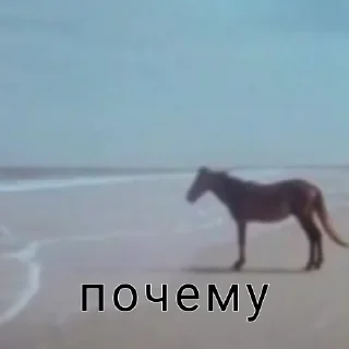 🫥