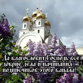 🕊