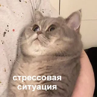 😞