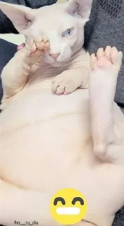 😝