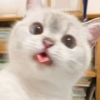 😛
