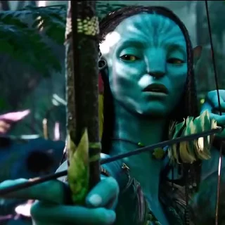 🏹