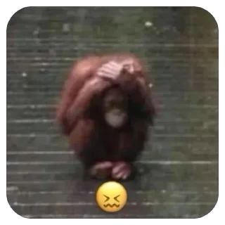 😖