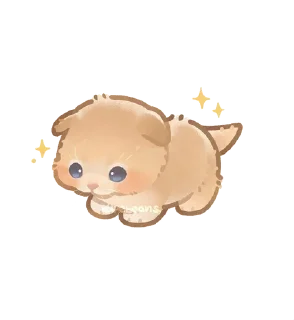 🌟