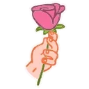 🌹
