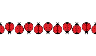 🐞
