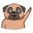 ✋