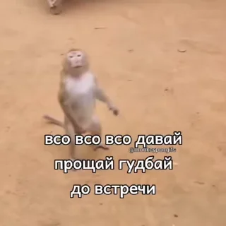 👋