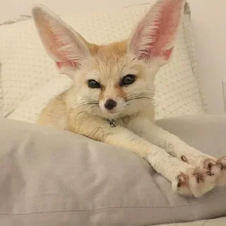 😏