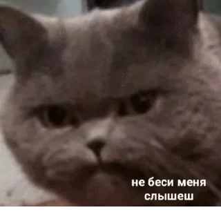😡