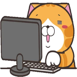 👨‍💻