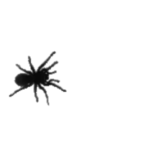 🕷