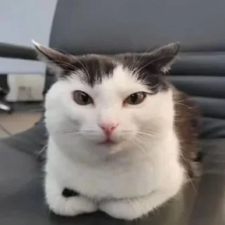 🤨