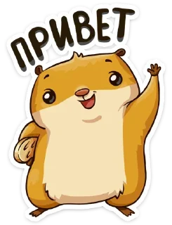 👋