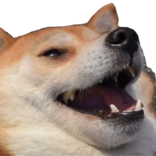 😆