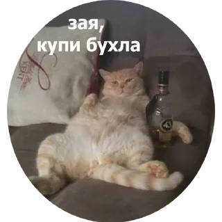 🍺