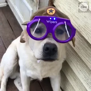 🤓