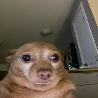 😶