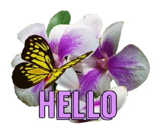 🦋