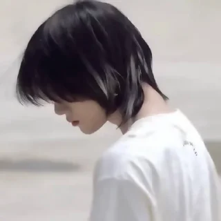 🐻