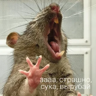 😨