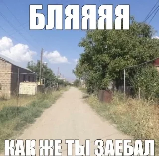 🧂