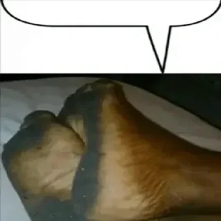 👣