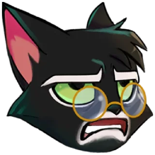 😾