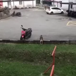 ☹️