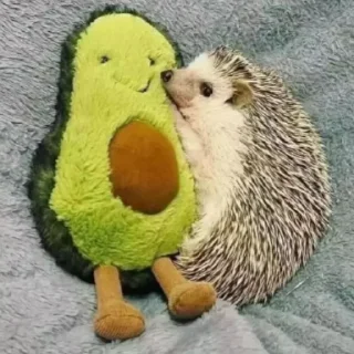 🥑