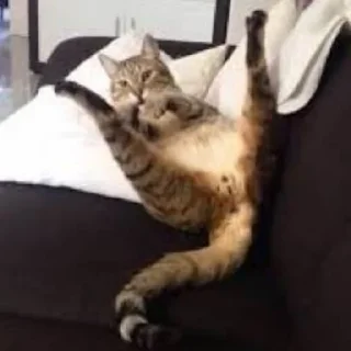 🥵