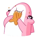 🍪