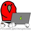 😂