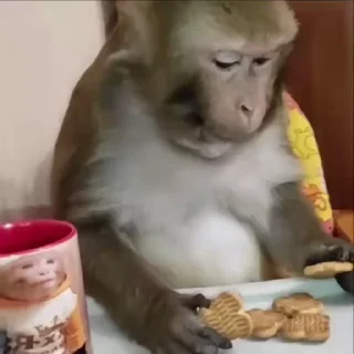 🌟