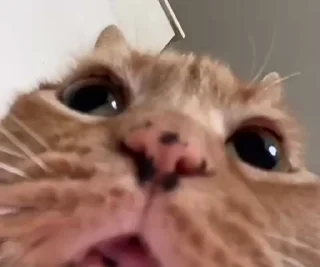 😧