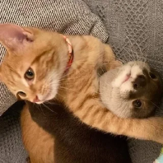 💋