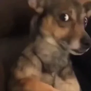 👀