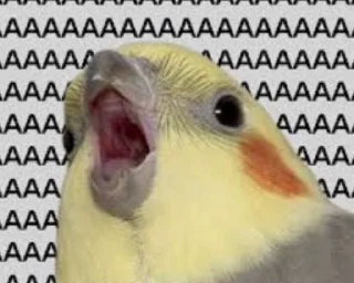 🅰️