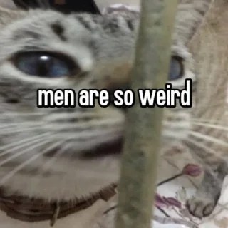 😡