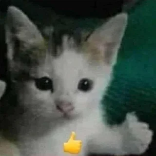 👍