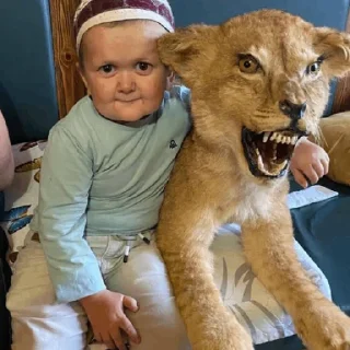 🐯