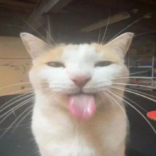 😛