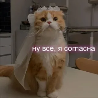 👰‍♀