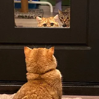 😳