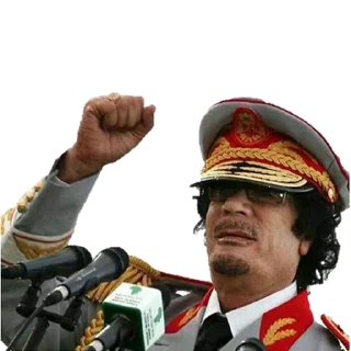 ✊