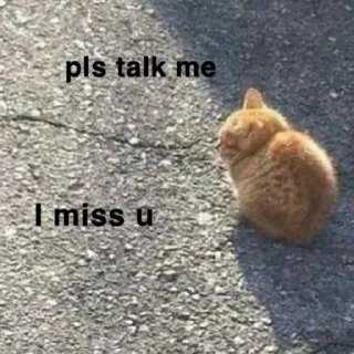🐈