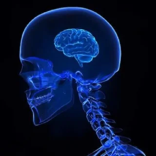 🧠