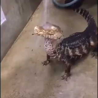 🤤