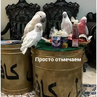 🥳