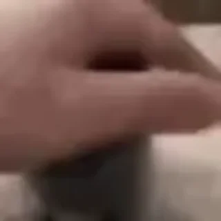 🐈